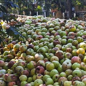 礼泉县爆料新闻最新,最新爆料揭示惊人真相 第1张 礼泉县爆料新闻最新,最新爆料揭示惊人真相 第1张