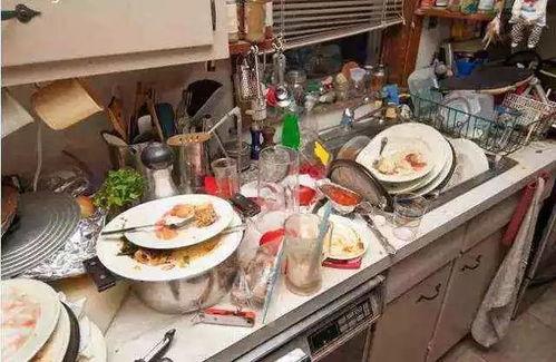 吃瓜厨房洗碗的网红,揭秘厨房清洁背后的辛酸与欢乐